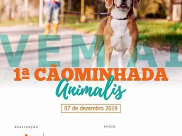 Cãominhada